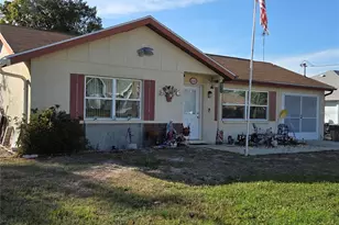 2435 Mandrell Ave, Spring Hill, FL 34608 - Photo 1