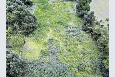 9856 Pangola Loop, Land O Lakes, FL 34639 - Photo 1