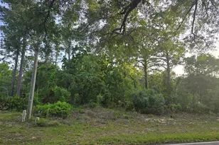 116 S Oak Village Blvd, Homosassa, FL 34446 - Photo 1