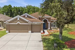 11143 Ragsdale Ct, New Port Richey, FL 34654 - Photo 1