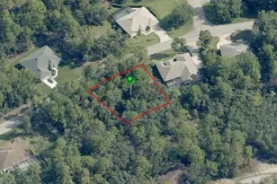 29 Saintpaulia St, Homosassa, FL 34446 - Photo 1