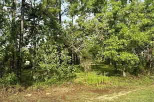2 Barkwood Point, Homosassa, FL 34446 - Photo 1