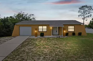 13188 Delbarton St, Spring Hill, FL 34609 - Photo 1