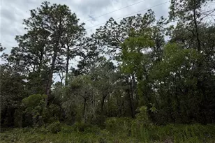 18011 Nutcracker Rd, Weeki Wachee, FL 34614 - Photo 1