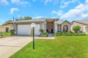 10665 Fallen Leaf Ln, Port Richey, FL 34668 - Photo 1
