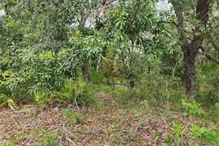 18364 Parakeet Rd, Brooksville, FL 34614 - Photo 1