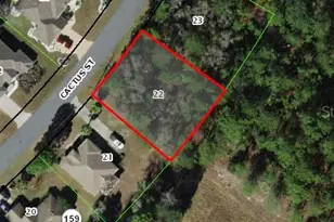 50 Cactus St, Homosassa, FL 34446 - Photo 1