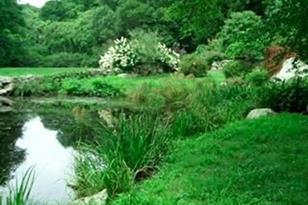 15 Crowell Ln Wt119, West Tisbury, MA 02575 - Photo 2