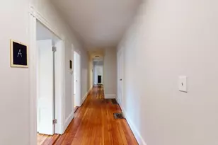 9 Mount Pleasant, Boston, MA 02119 - Photo 4