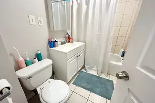 9 Mount Pleasant, Boston, MA 02119 - Photo 10