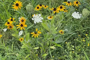 20 Coach Rd, Easton, MA 02375 - Photo 6