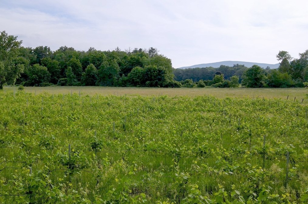 296 Main St, Sheffield MA 01257-9696 exterior