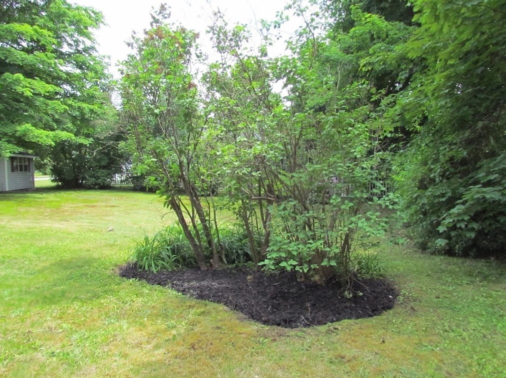 724 Silver Lk St, Royalston MA 01331-1617 exterior