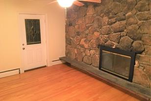 391 Langley Rd, Newton, MA 02459 - Photo 1