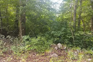 0 Winter St, Rehoboth, MA 02769 - Photo 8