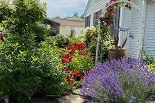 255 Alden St - Photo 34