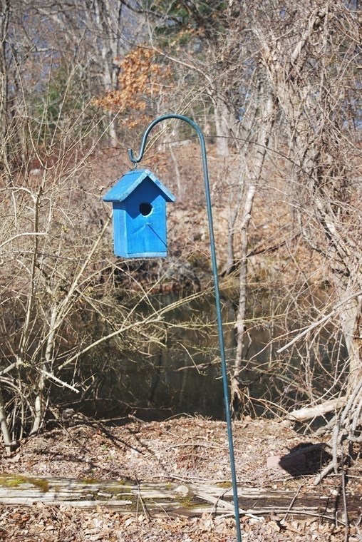 8 Pine St, Dudley MA  01571-3224 exterior