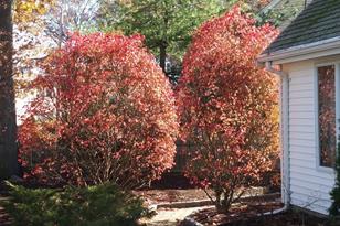 3 Vernon Rd, Natick, MA 01760