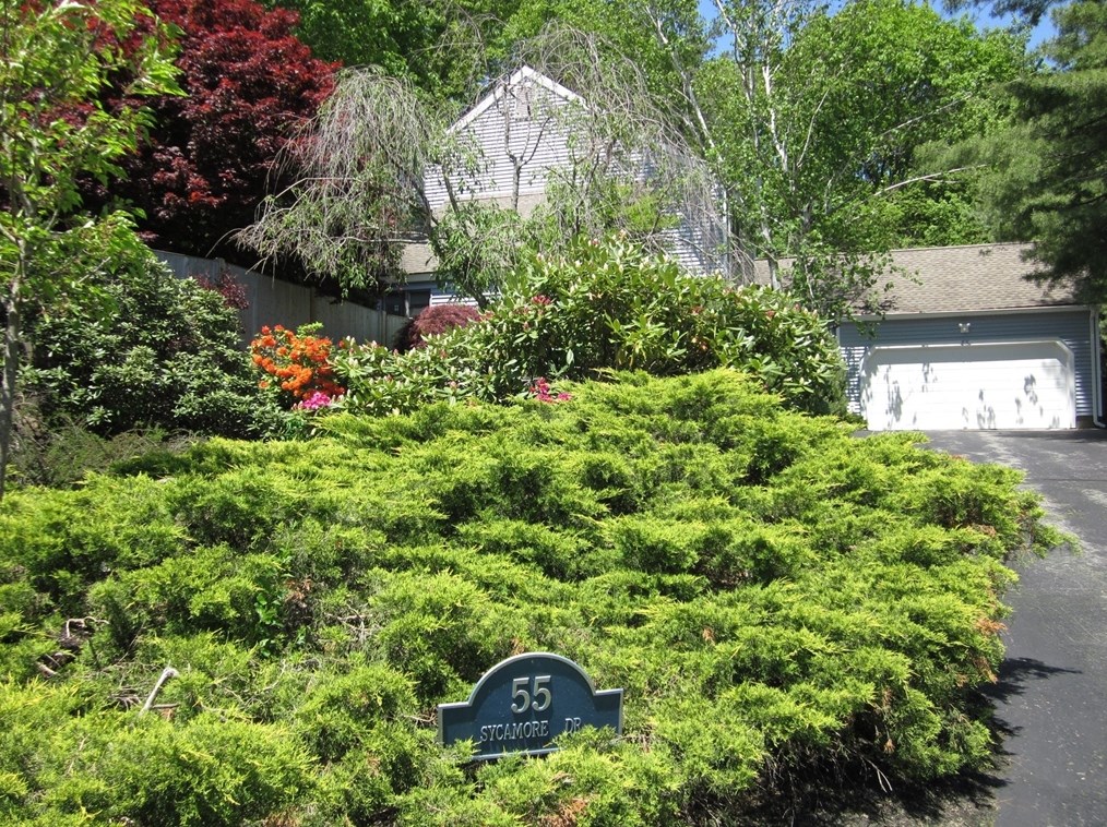 55 Sycamore Dr, Holden, MA 01520