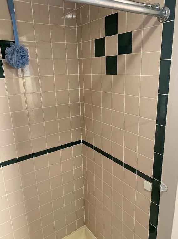 182 Delmont Ave, Worcester MA  01604-3206 exterior