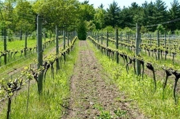 337 Old Fall Riv Rd, Dartmouth MA 02747-1248 exterior