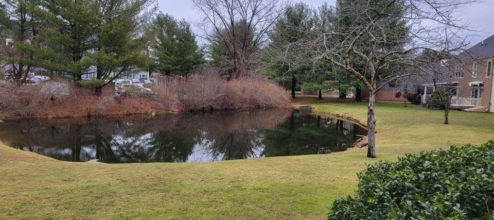 20 Essex Green #a, Peabody, MA 01960