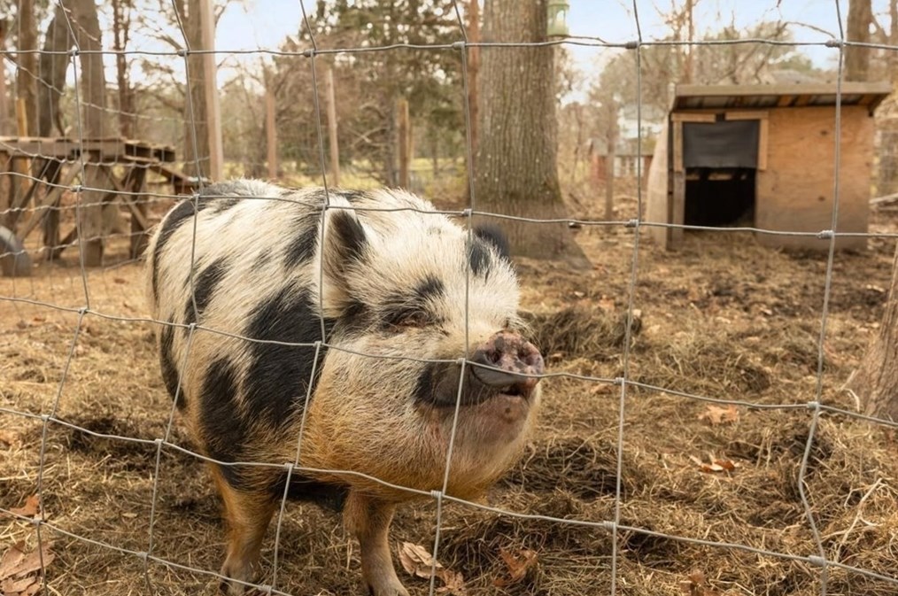 355 Pleasant St, Raynham MA  02767-1673 exterior