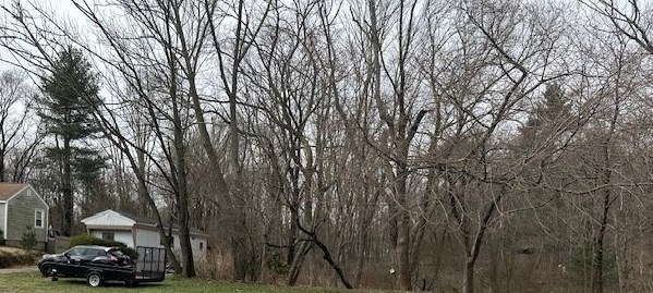 99 Walker St, Taunton MA 02780-2146 exterior