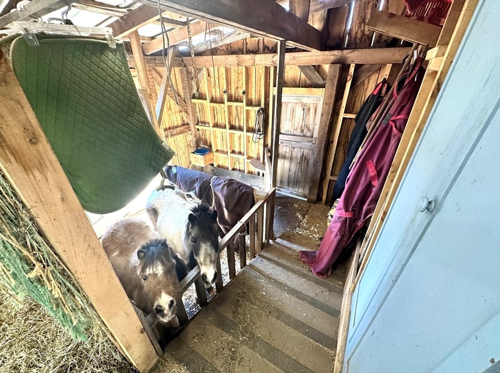 26 West St, Worcester MA 01609-2307 exterior