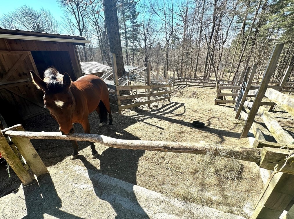 26 West St, Worcester MA 01609-2307 exterior