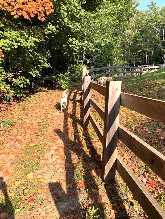 26 West St, Worcester MA 01609-2307 exterior