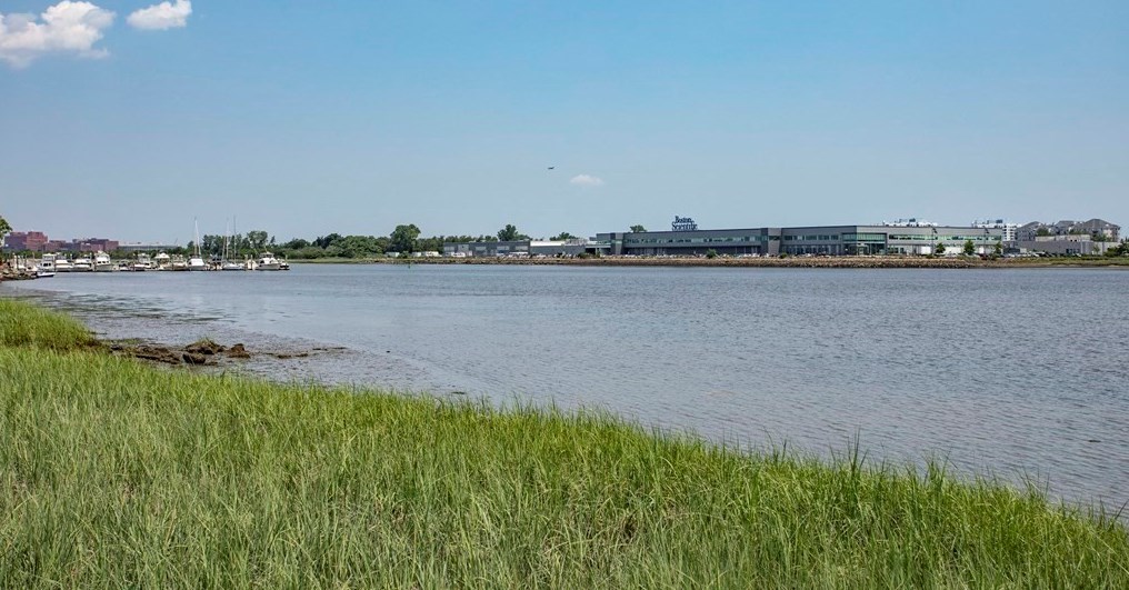 15 Water St, Boston MA 02167-3180 exterior