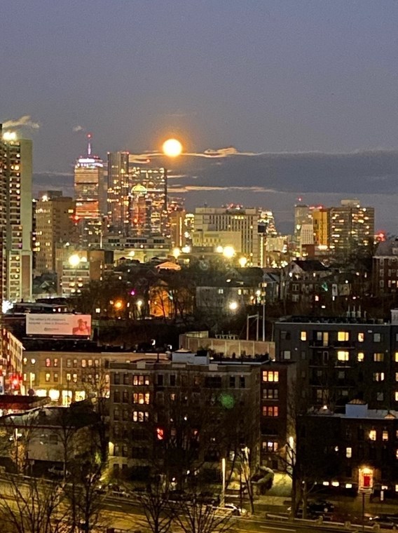 77 Pond Ave, Brookline MA  02445-7172 exterior