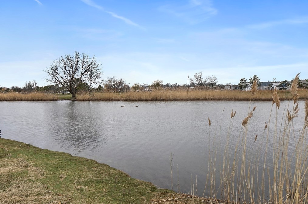 59 Lewis Ave, Winthrop MA  02152-1772 exterior