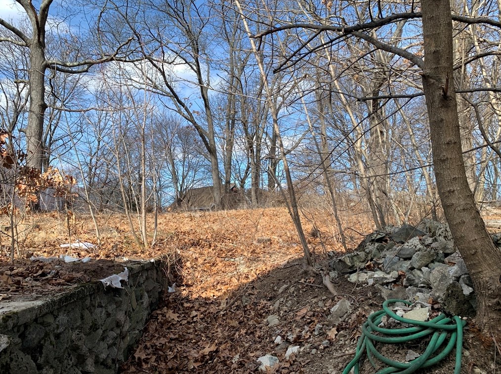 307 Colburn St, Dedham MA 02026-2331 exterior