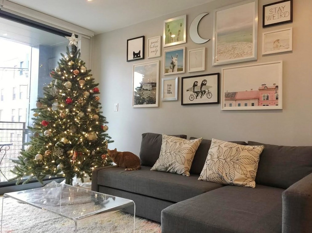 691 Massachusetts #202, Boston, MA 02118