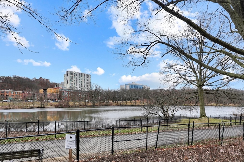 44 Washington St, Brookline MA  02445-7130 exterior