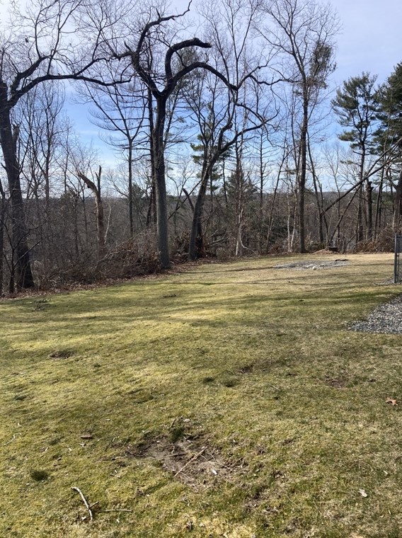 80 Carmel Rd, Andover MA  01810-3117 exterior