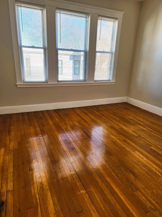 20 W Tremlett St # 3, Boston, MA