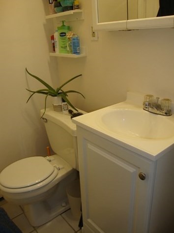 4 Ransom Rd, Boston MA 02135 exterior