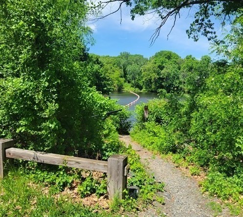 68 Pinevale St, Springfield MA  01151-1500 exterior