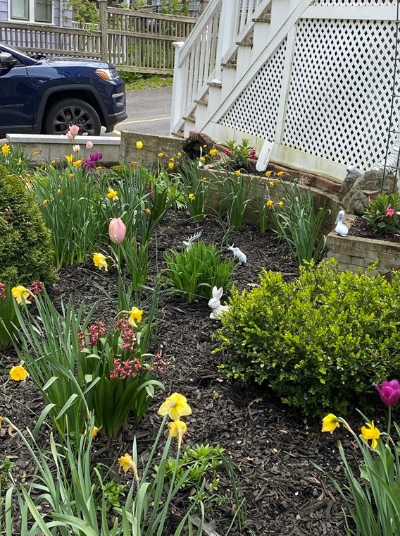 16 Eliot Cres, Boston MA exterior