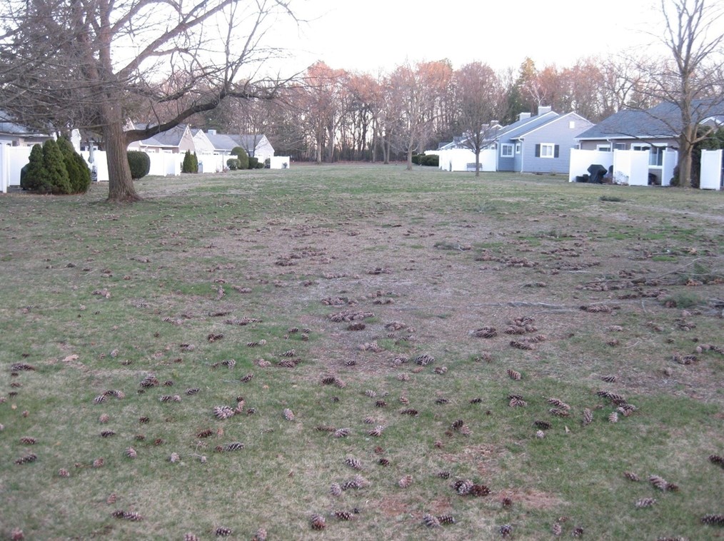 190 Greenwood Ter, Chicopee MA  01022-1169 exterior