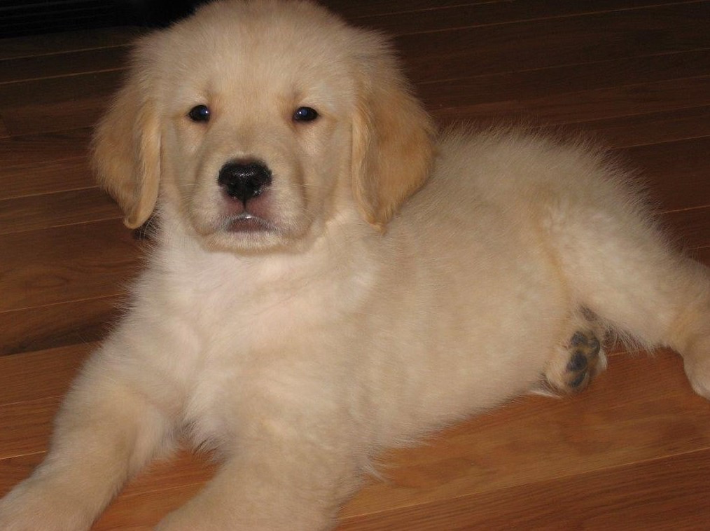 64 Beacon St, Worcester MA  01608-1540 exterior