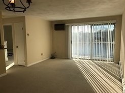 18 Hamilton Rd #405, Arlington, MA 02474