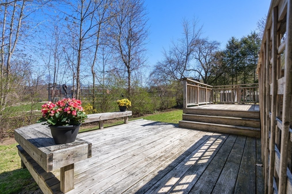 31 Roosevelt Rd, Lexington MA  02421-7411 exterior