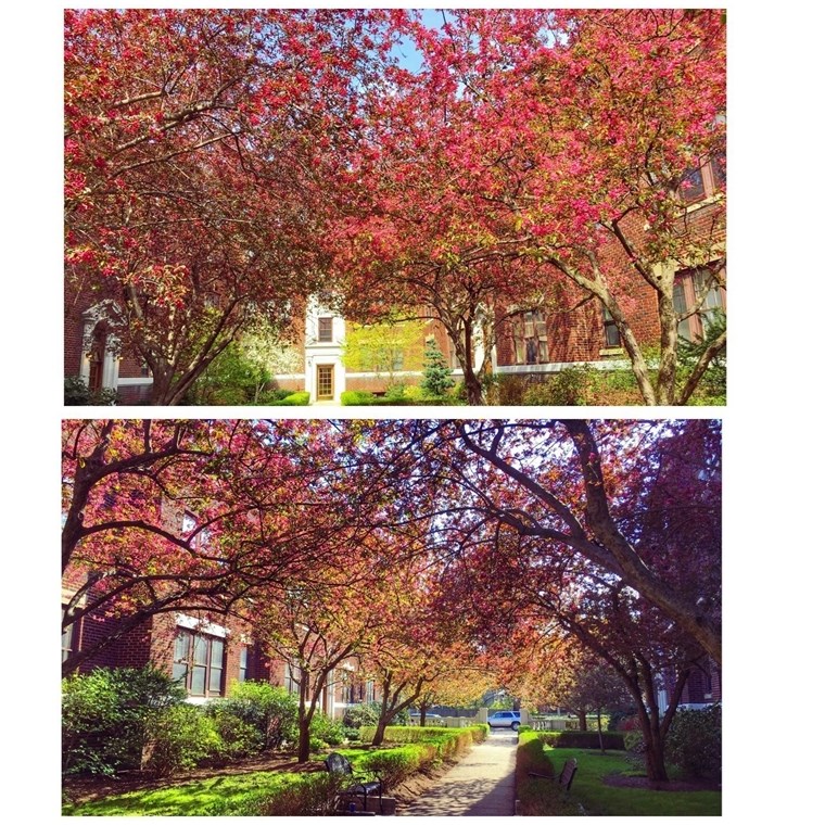 429 Washington St, Brookline MA  02446-6113 exterior