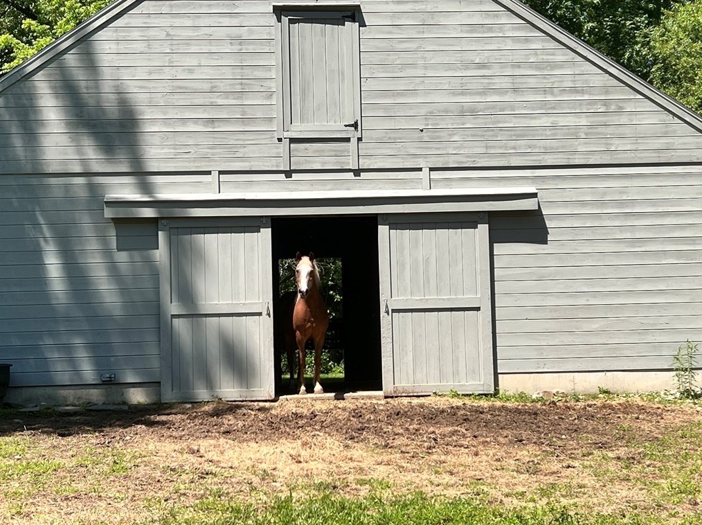 1016 St, East Bridgewater MA 02324-2943 exterior