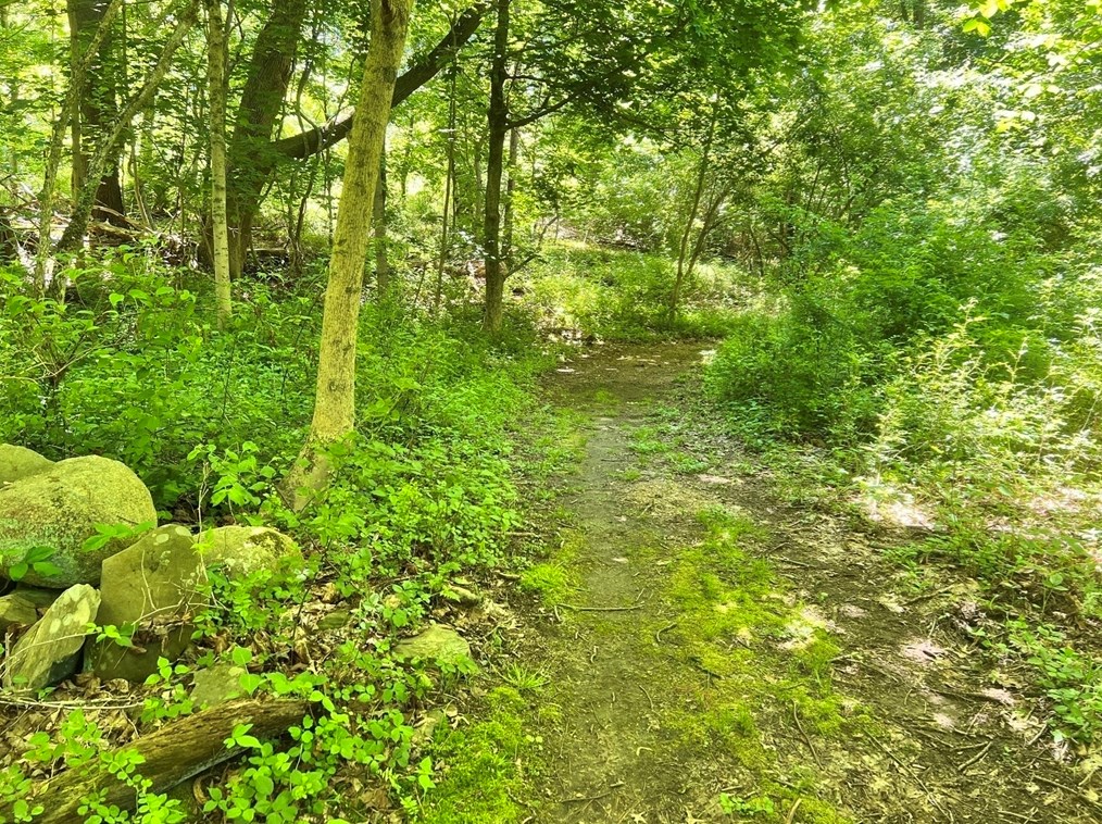 1016 St, East Bridgewater MA 02324-2943 exterior