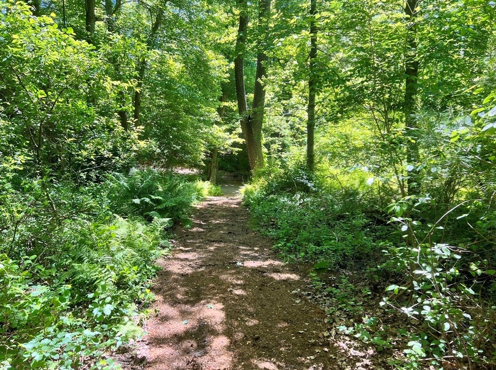 1016 St, East Bridgewater MA 02324-2943 exterior